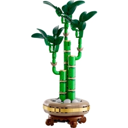 Lego Botanicals Dracena sandera 10344