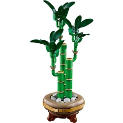 Lego Botanicals Dracena sandera 10344