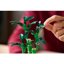 Lego Botanicals Dracena sandera 10344