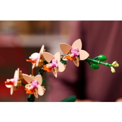 Lego Botanicals Mała orchidea 10343